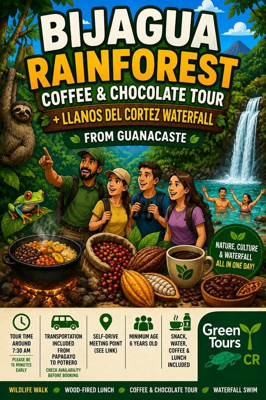 Bijagua Rainforest, Coffee & Chocolate Tour + Llanos del Cortez Waterfall | From Guanacaste