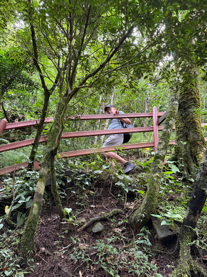 Tour Volcán Miravalles Experiencia Guanacaste