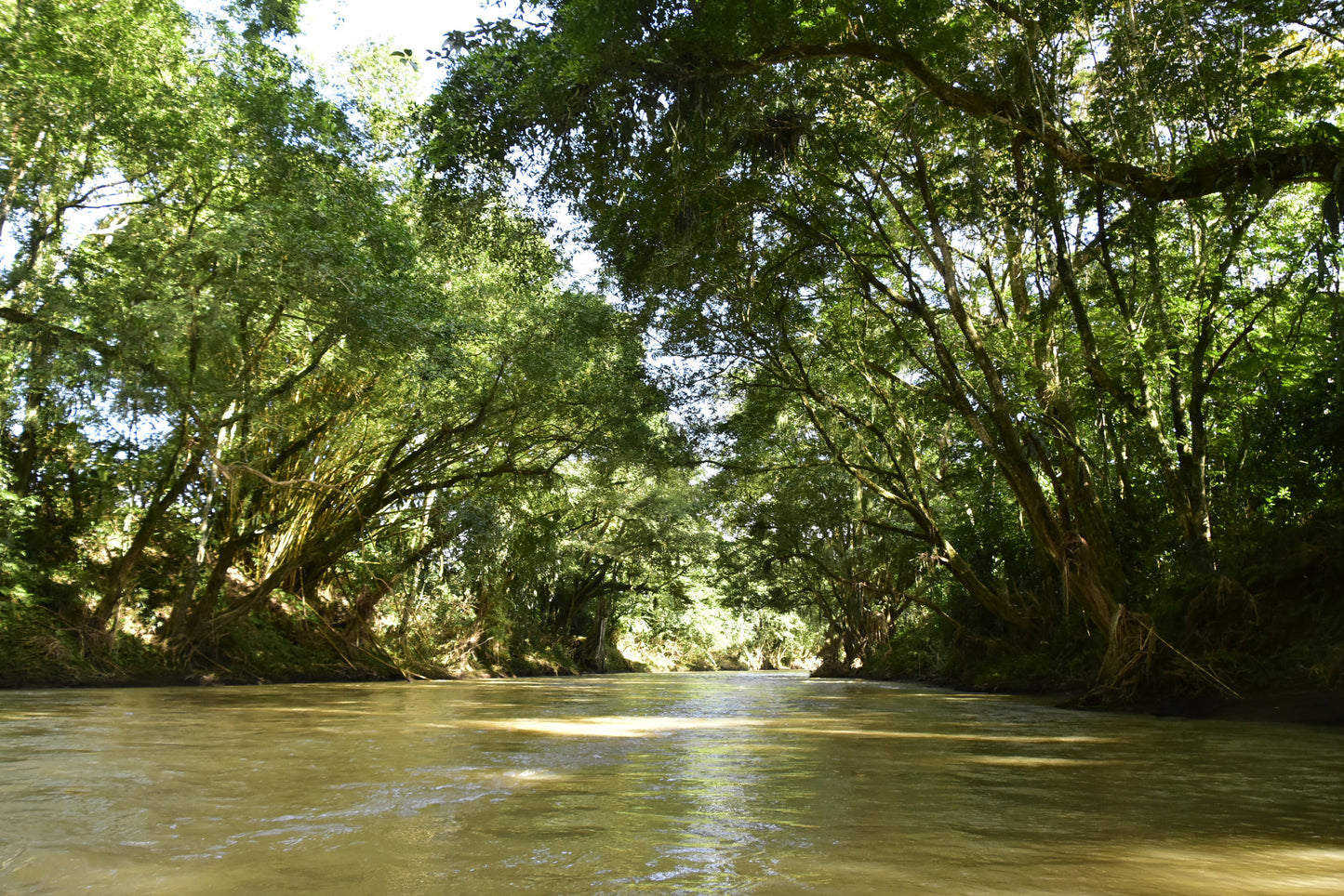 Safari flotante en Peñas Blancas desde La Fortuna