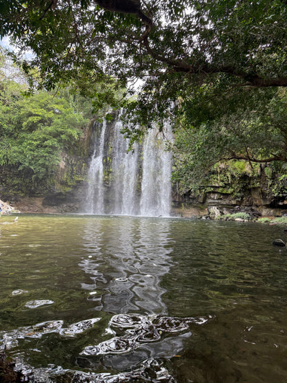 Bijagua Rainforest, Coffee & Chocolate Tour + Llanos del Cortez Waterfall | From Guanacaste