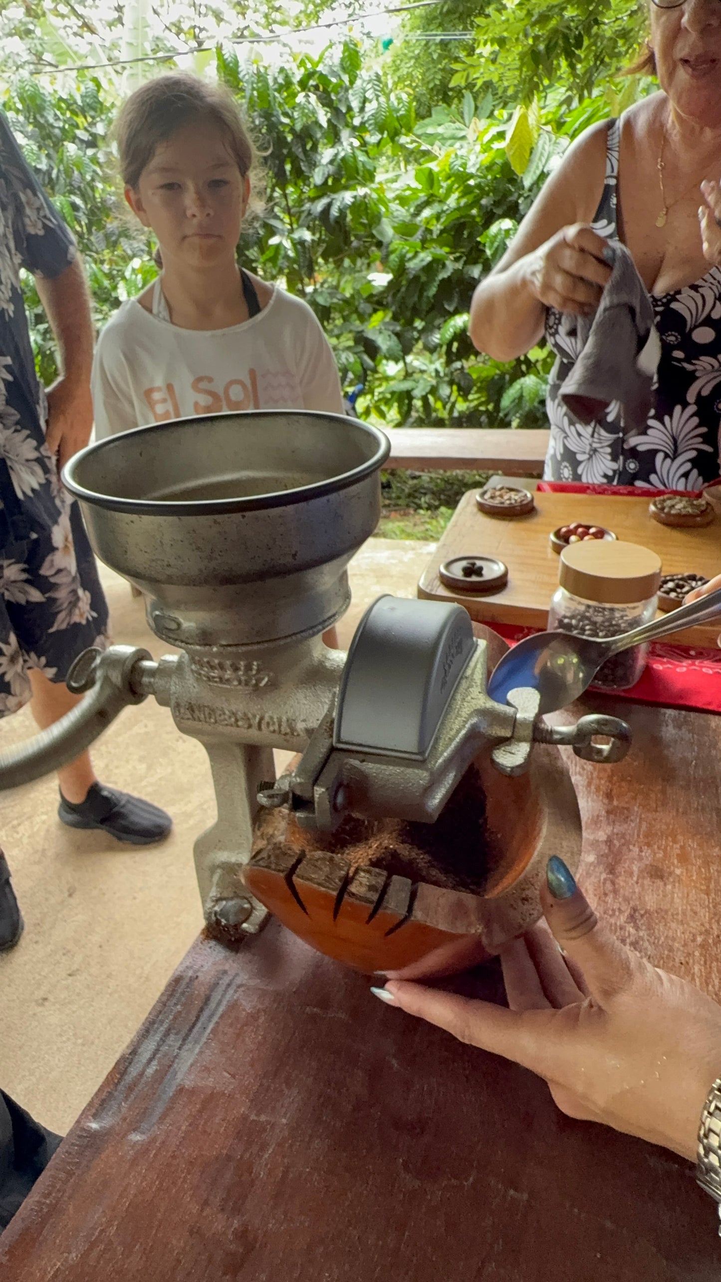 Bijagua Rainforest, Coffee & Chocolate Tour + Llanos del Cortez Waterfall | From Guanacaste