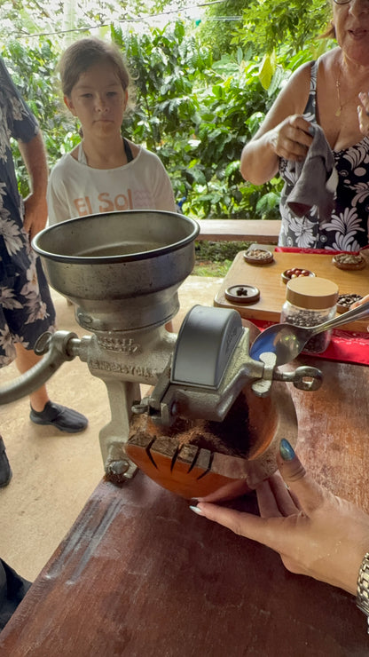 Bijagua Rainforest, Coffee & Chocolate Tour + Llanos del Cortez Waterfall | From Guanacaste