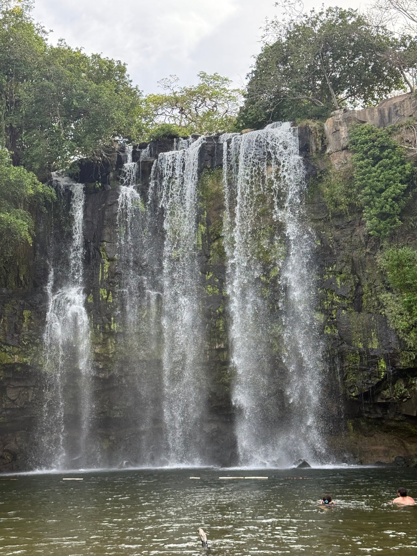 Bijagua Rainforest, Coffee & Chocolate Tour + Llanos del Cortez Waterfall | From Guanacaste