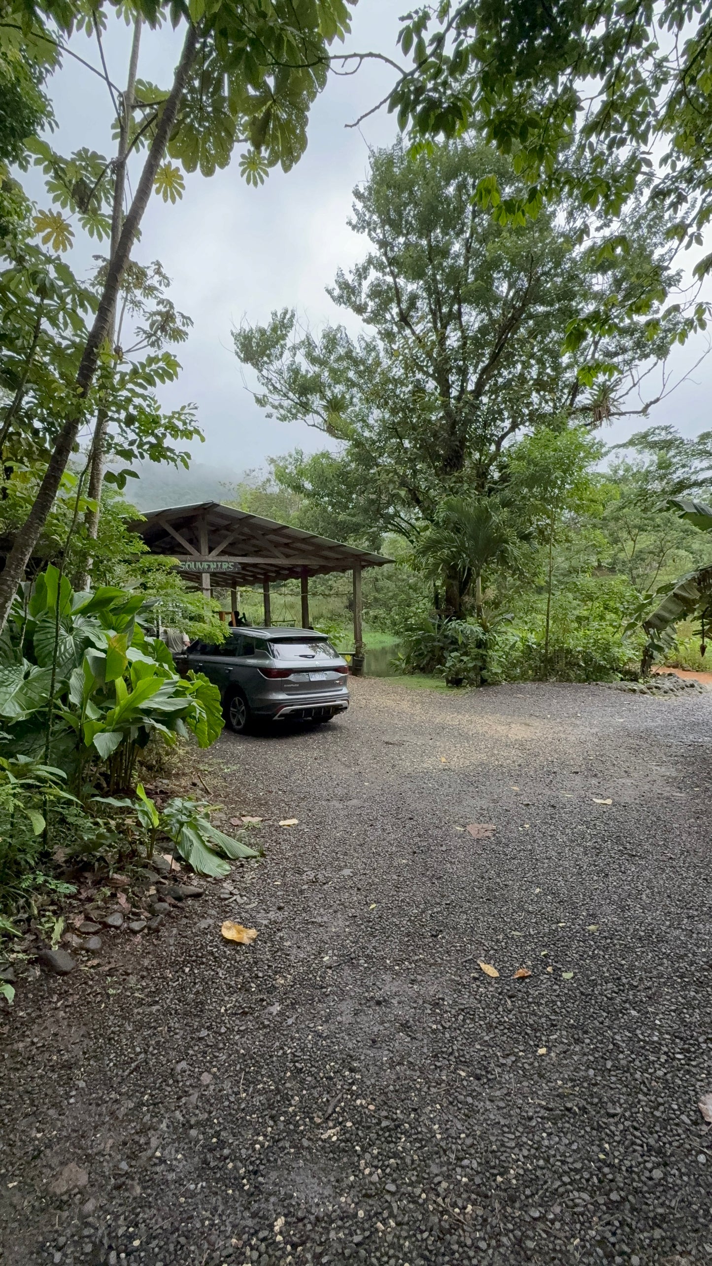 Bijagua Rainforest, Coffee & Chocolate Tour + Llanos del Cortez Waterfall | From Guanacaste