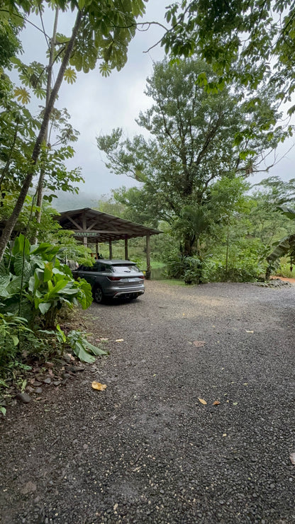 Bijagua Rainforest, Coffee & Chocolate Tour + Llanos del Cortez Waterfall | From Guanacaste