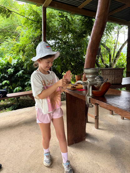 Bijagua Rainforest, Coffee & Chocolate Tour + Llanos del Cortez Waterfall | From Guanacaste
