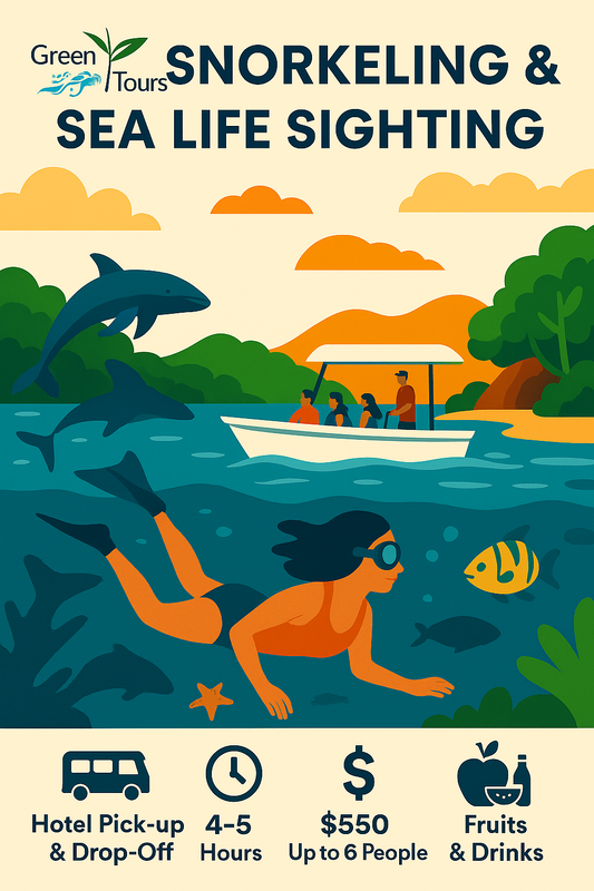 Private Snorkeling & Sea Life Sighting – Guanacaste