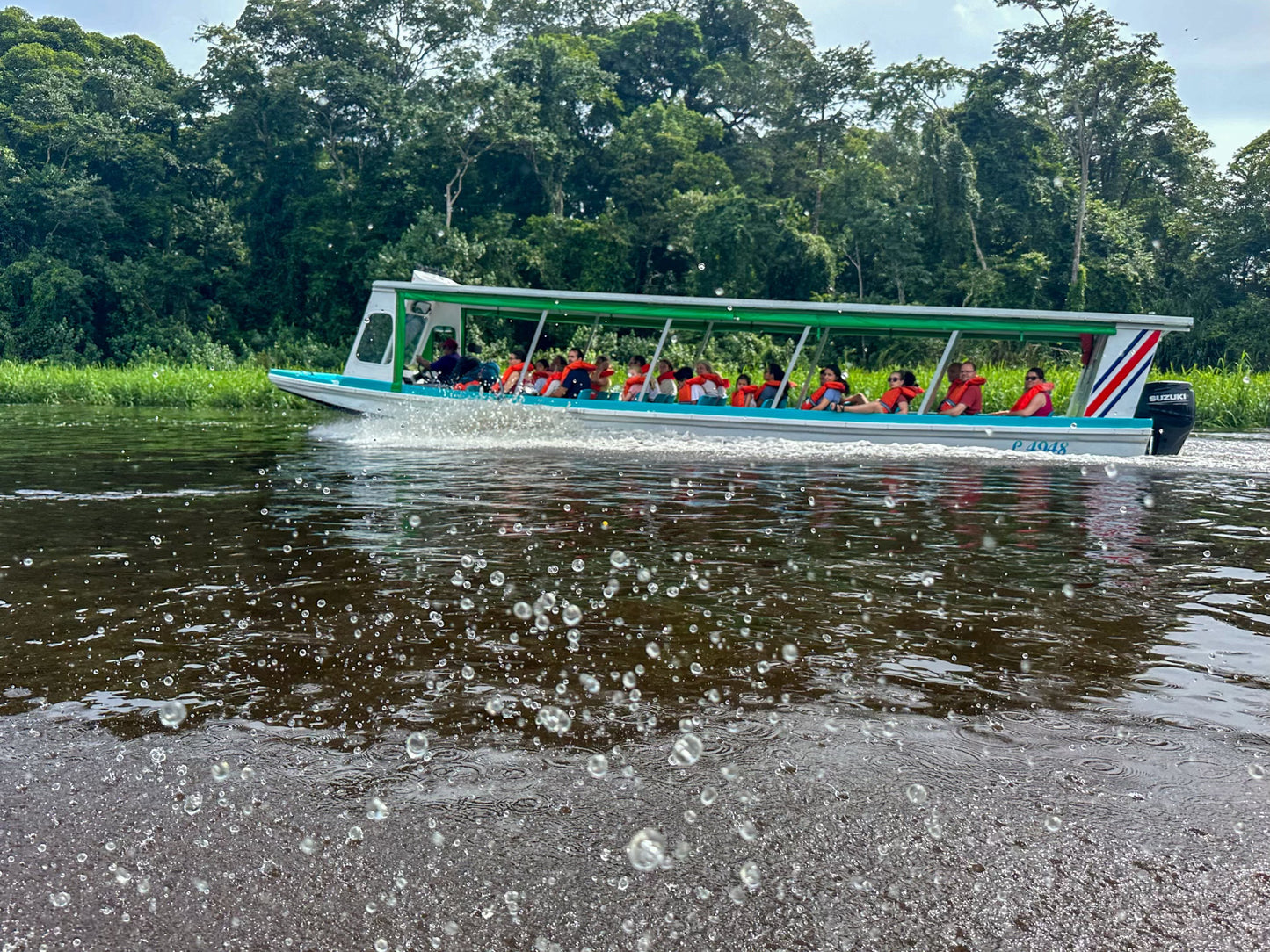 Barco de ida y vuelta Pavona-Tortuguero-Pavona