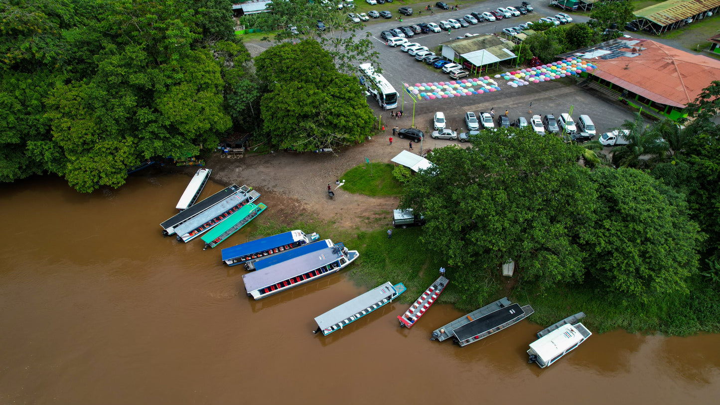 Barco de ida y vuelta Pavona-Tortuguero-Pavona