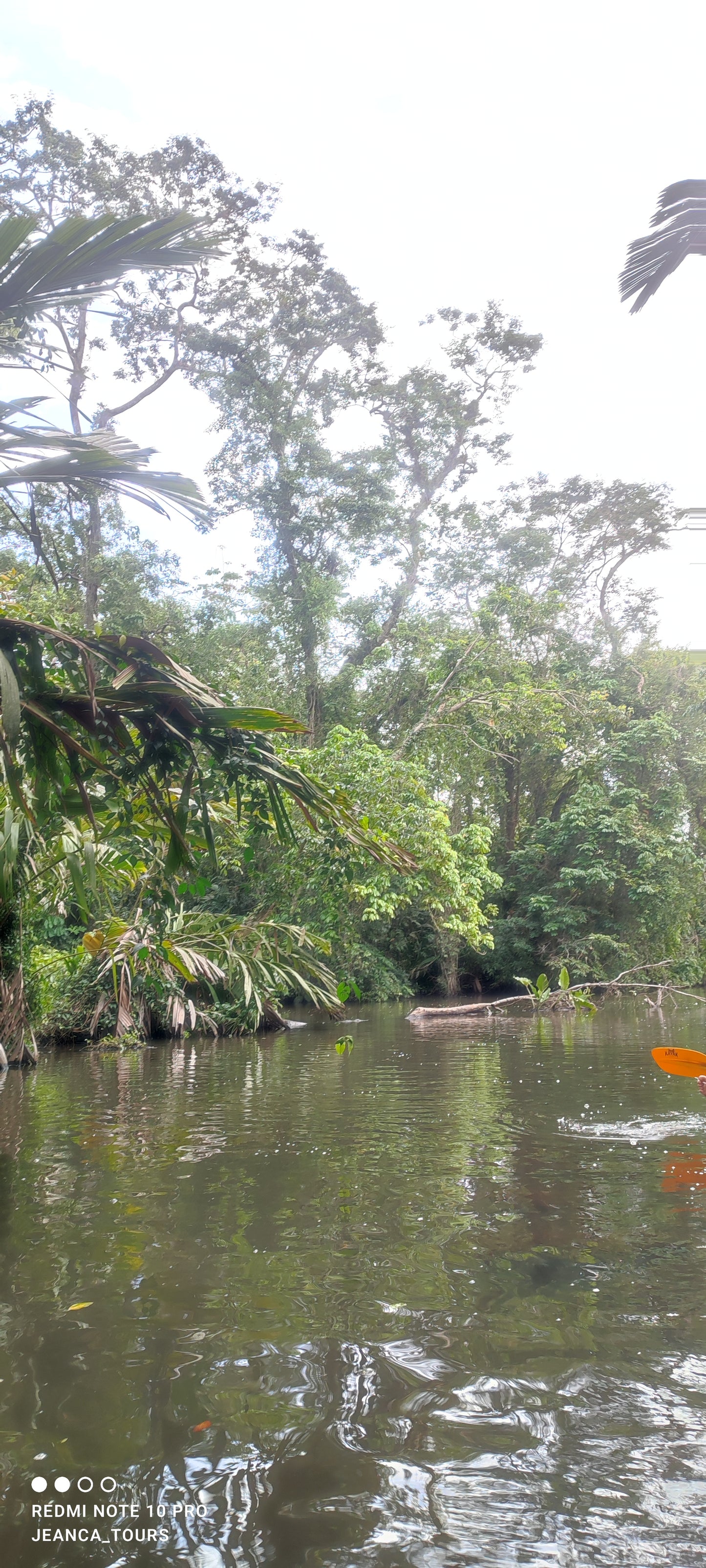 Tour en kayak