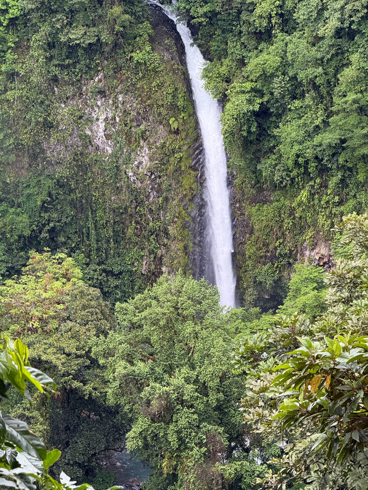 Experiencia en la Catarata La Fortuna