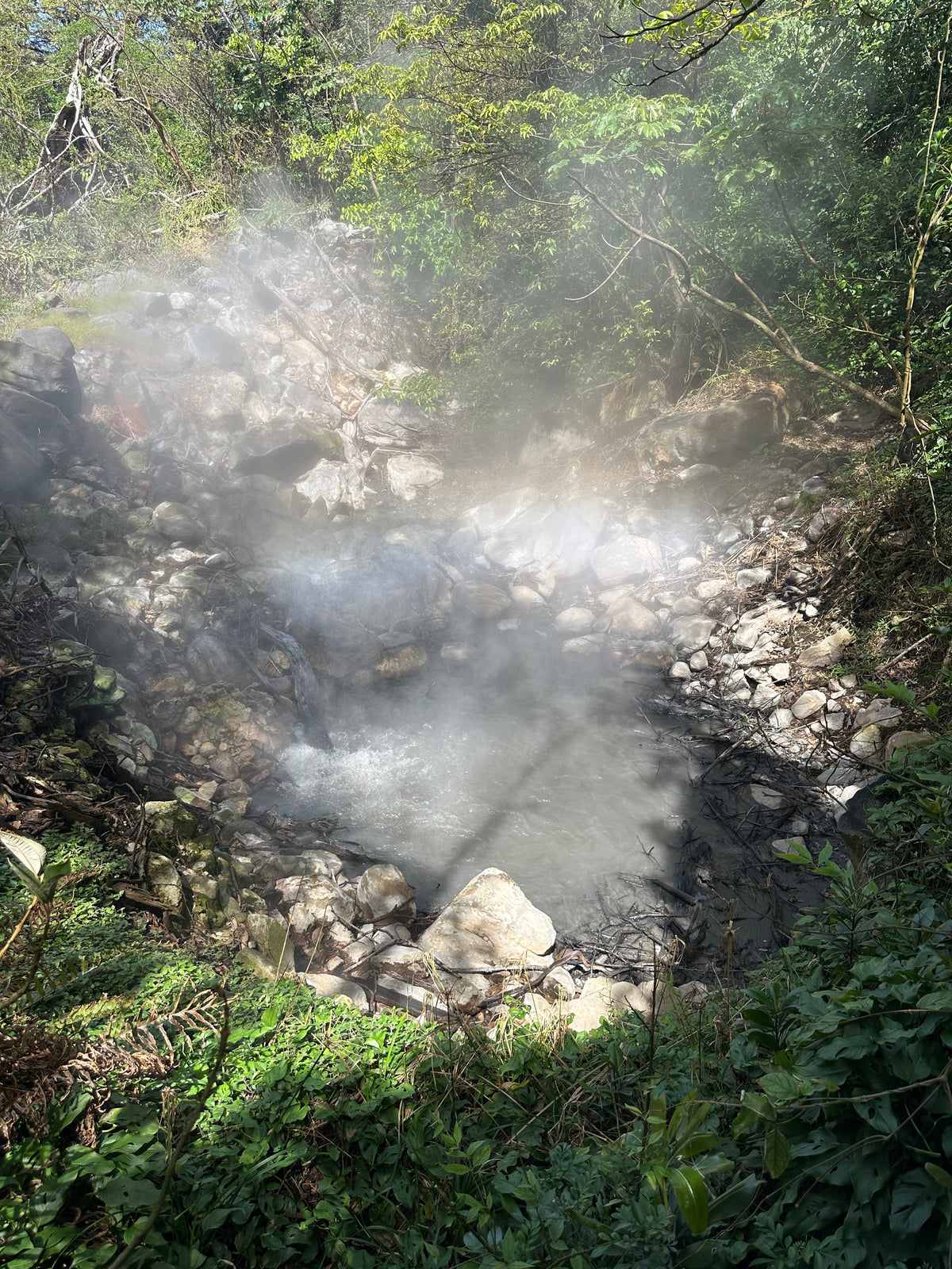 Rincón de la Vieja Volcano & Hot Springs in Guanacaste