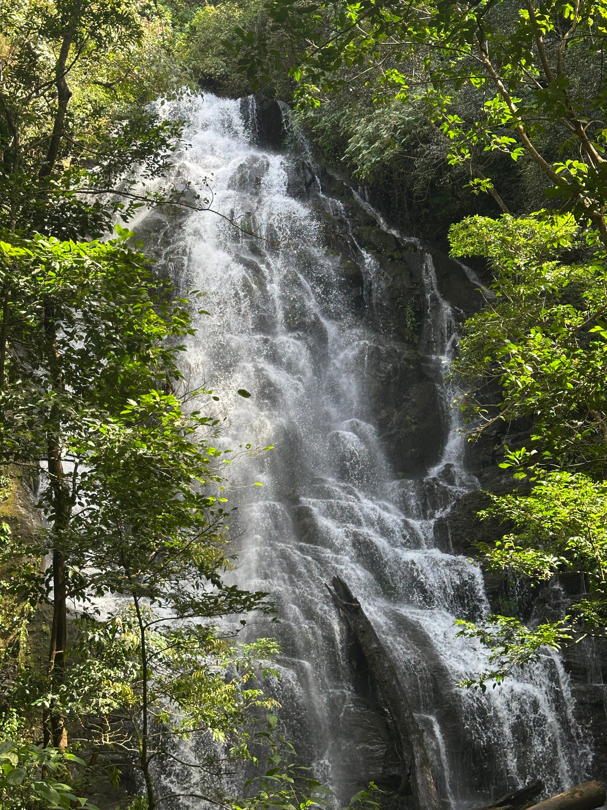 Rincón de la Vieja Volcano & Hot Springs in Guanacaste