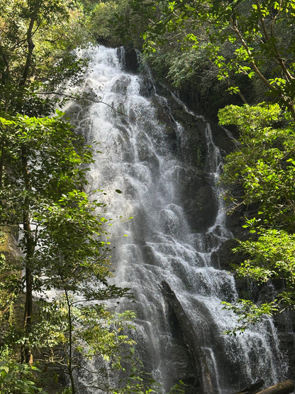 Rincón de la Vieja Volcano & Hot Springs in Guanacaste