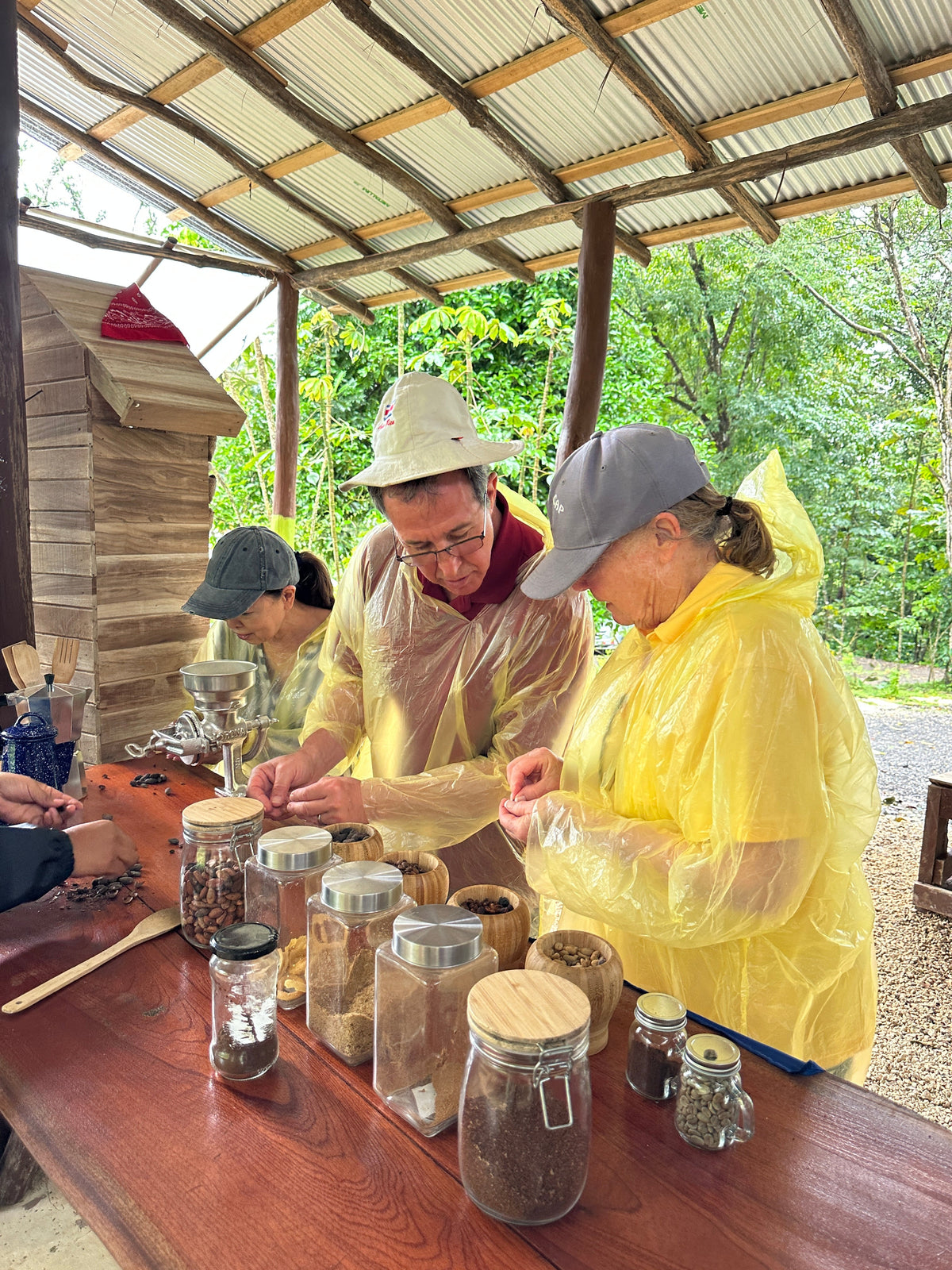 Bijagua rainforest and Llanos del Cortez tour in Guanacaste