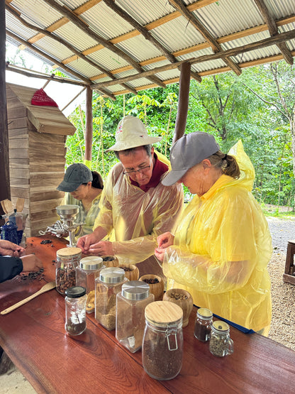 Bijagua rainforest and Llanos del Cortez tour in Guanacaste