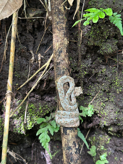 Rincón de la Vieja Volcano & Hot Springs in Guanacaste