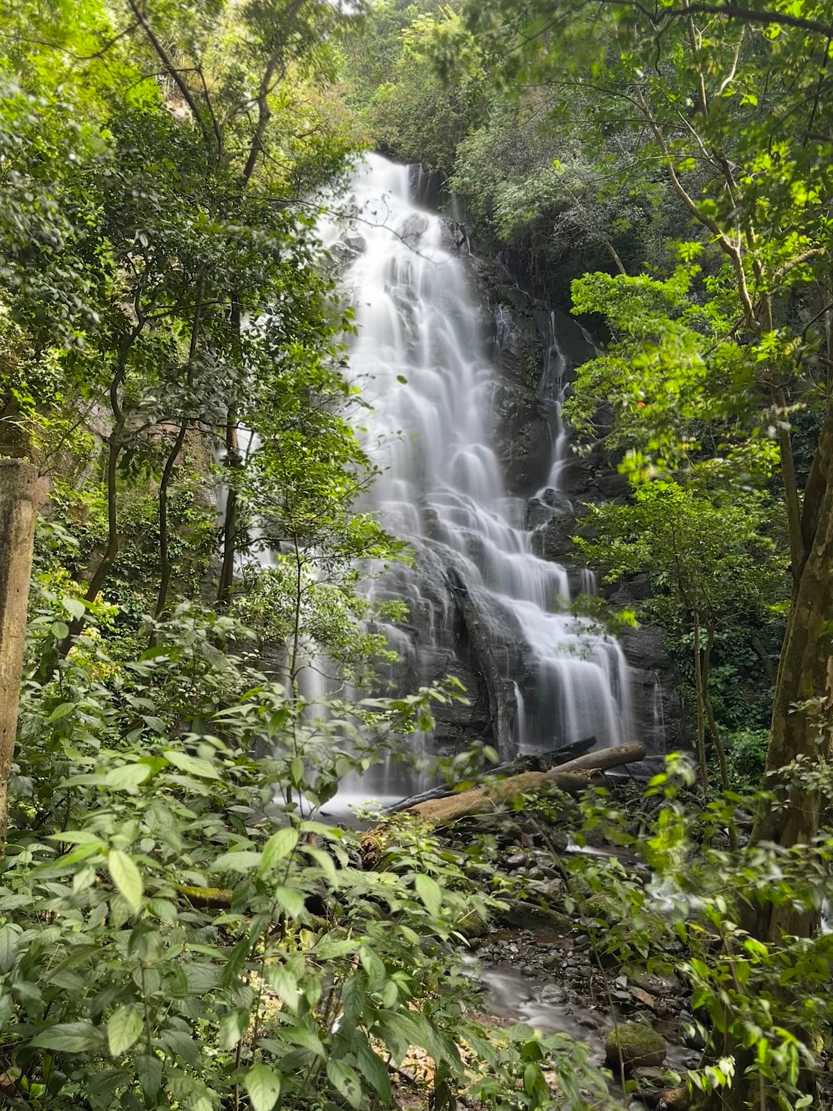 Rincón de la Vieja Volcano & Hot Springs in Guanacaste
