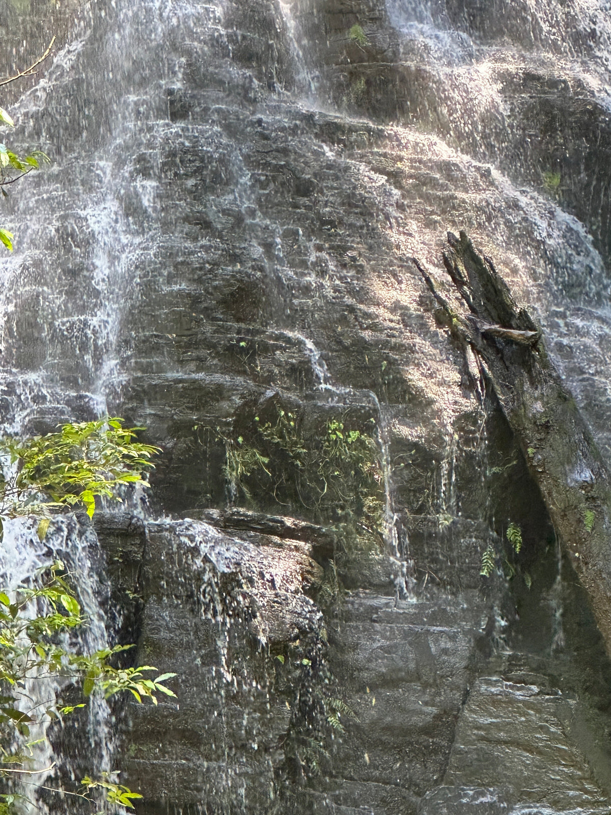 Rincón de la Vieja Volcano & Hot Springs in Guanacaste