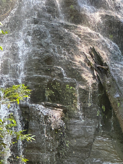 Rincón de la Vieja Volcano & Hot Springs in Guanacaste