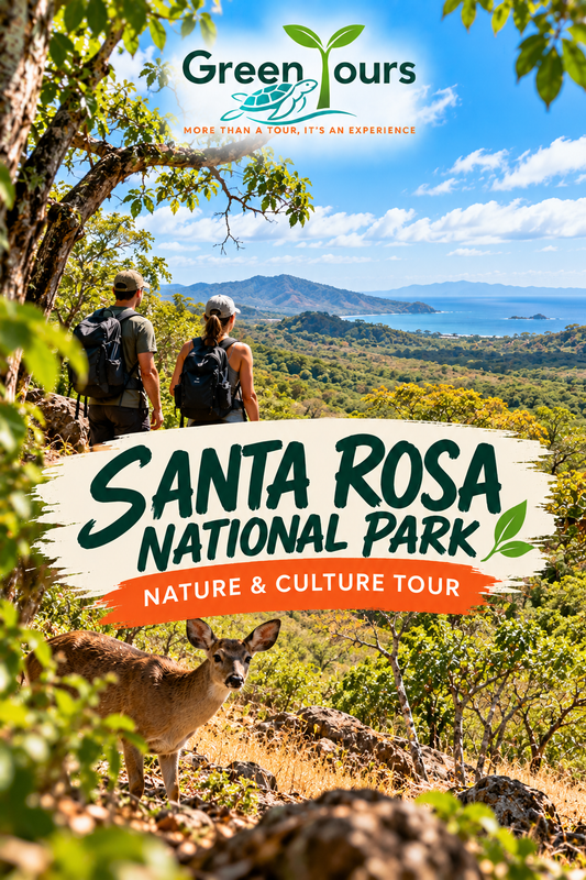 Santa Rosa National Park Nature & Culture Tour