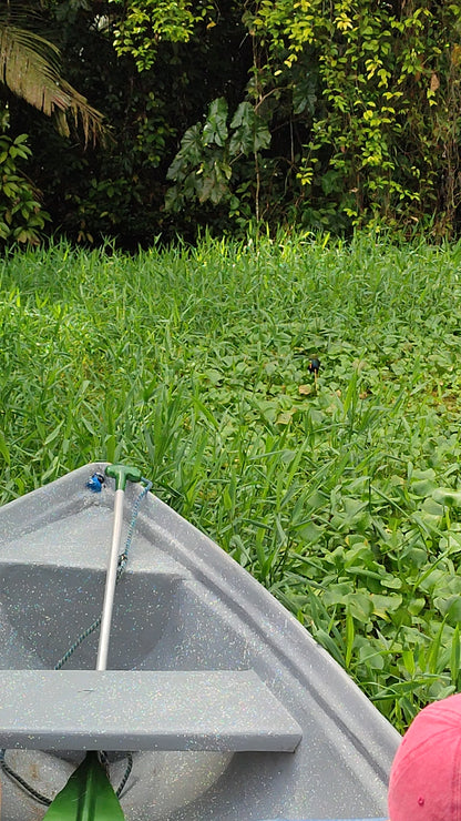 Canoe Tour Tortuguero