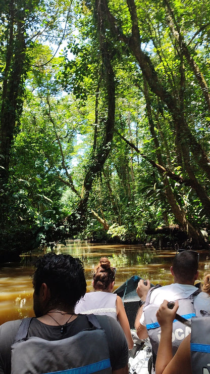 Tour en Canoa Tortuguero