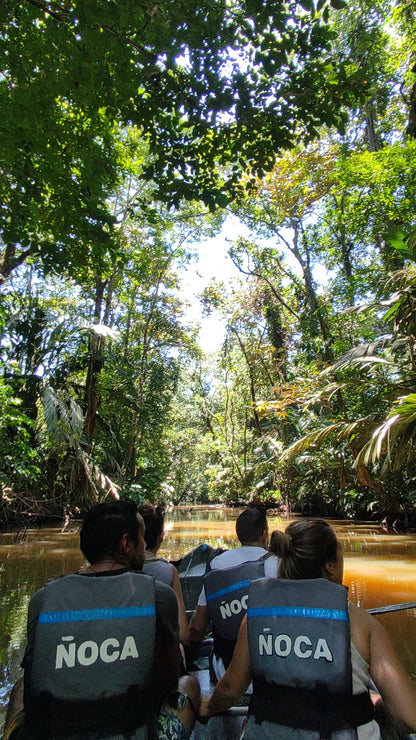 Tour en Canoa Tortuguero