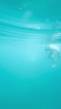 🌅 Sunset Catamaran & Snorkeling Cruise Guanacaste